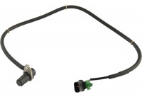 Sensor, wheel speed BAS-5531 Kavo parts