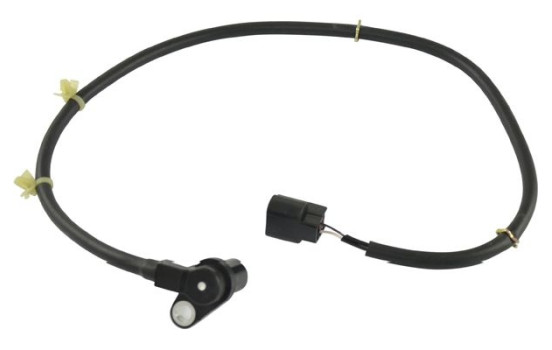 Sensor, wheel speed BAS-5543 Kavo parts