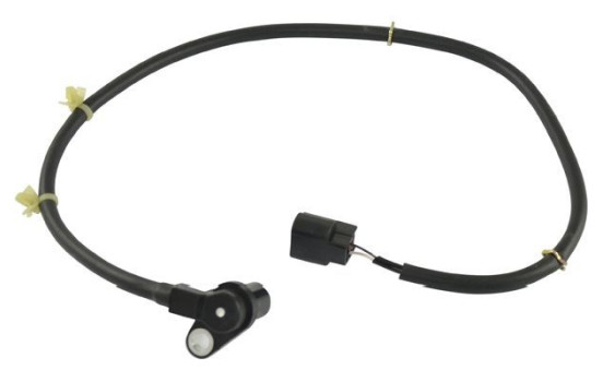 Sensor, wheel speed BAS-5543 Kavo parts, Image 2