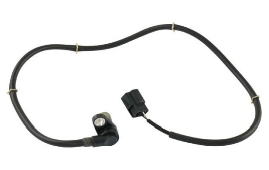 Sensor, wheel speed BAS-5546 Kavo parts, Image 2