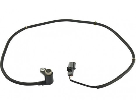 Sensor, wheel speed BAS-5548 Kavo parts, Image 2