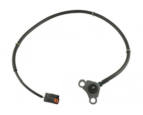 Sensor, wheel speed BAS-5553 Kavo parts