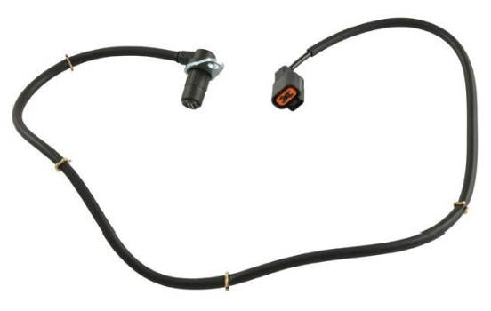Sensor, wheel speed BAS-5562 Kavo parts, Image 2