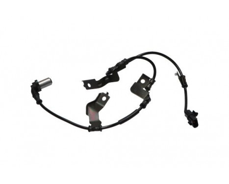 Sensor, wheel speed BAS-5595 Kavo parts, Image 3