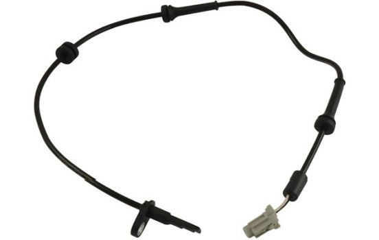 Sensor, wheel speed BAS-6513 Kavo parts