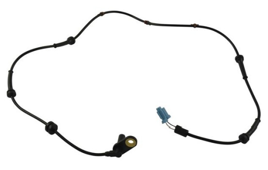 Sensor, wheel speed BAS-6569 Kavo parts