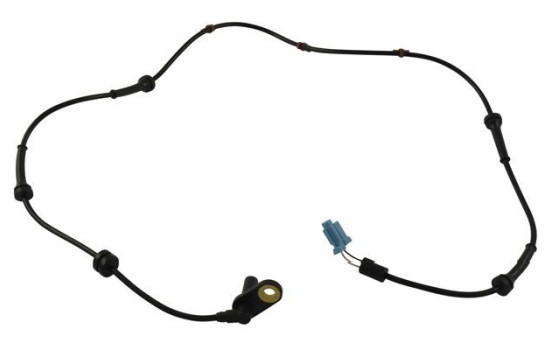 Sensor, wheel speed BAS-6569 Kavo parts, Image 2