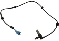 Sensor, wheel speed BAS-6579 Kavo parts