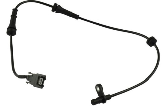 Sensor, wheel speed BAS-6581 Kavo parts