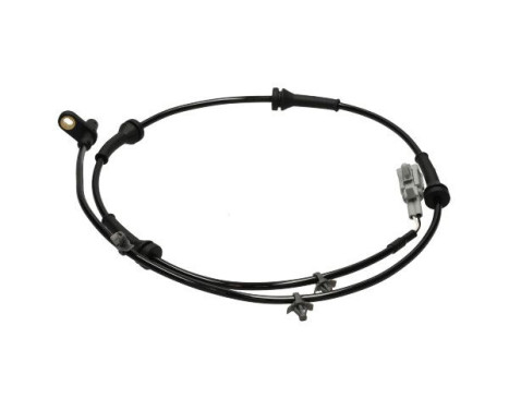 Sensor, wheel speed BAS-6613 Kavo parts, Image 3