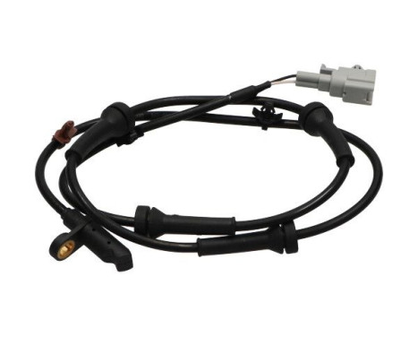 Sensor, wheel speed BAS-6614 Kavo parts, Image 2