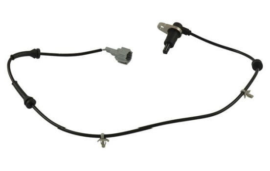 Sensor, wheel speed BAS-6619 Kavo parts