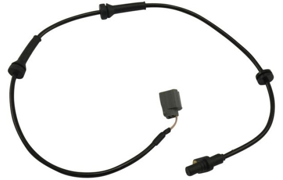 Sensor, wheel speed BAS-6624 Kavo parts, Image 2