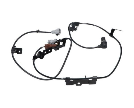 Sensor, wheel speed BAS-6649 Kavo parts