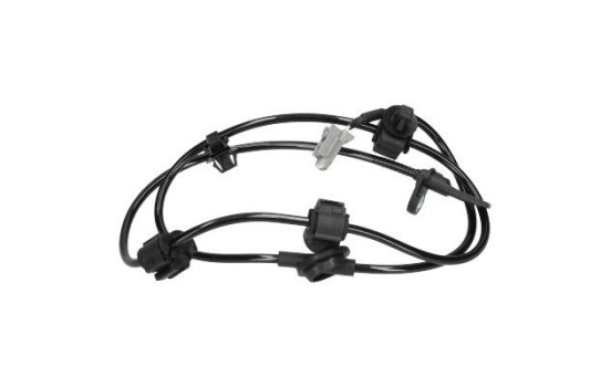Sensor, wheel speed BAS-8031 Kavo parts, Image 3