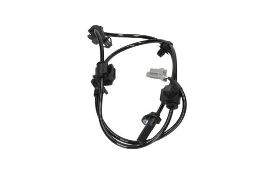 Sensor, wheel speed BAS-8031 Kavo parts, Image 4