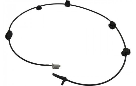 Sensor, wheel speed BAS-8032 Kavo parts