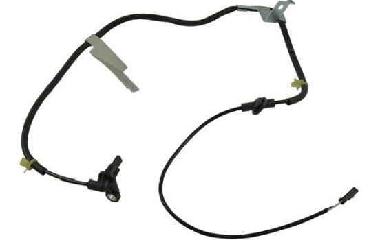 Sensor, wheel speed BAS-8531 Kavo parts