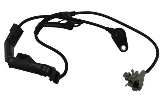 Sensor, wheel speed BAS-9007 Kavo parts