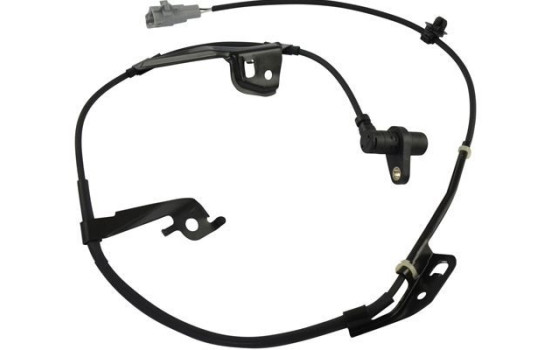Sensor, wheel speed BAS-9049 Kavo parts, Image 2