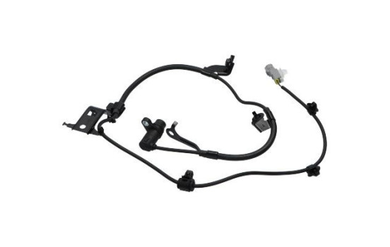 Sensor, wheel speed BAS-9065 Kavo parts, Image 3