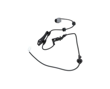 Sensor, wheel speed BAS-9146 Kavo parts, Image 2