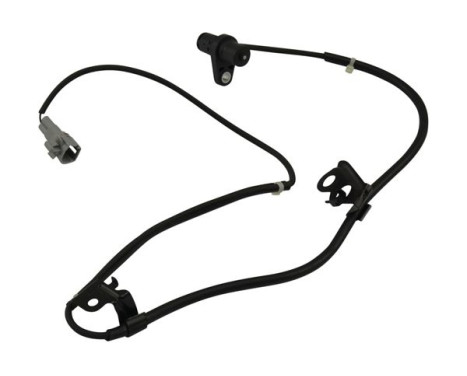 Sensor, wheel speed BAS-9150 Kavo parts