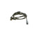 Sensor, wheel speed DF11 Bosch