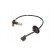 Sensor, wheel speed SS20060 Delphi