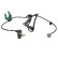 Sensor, wheel speed SS20201 Delphi
