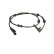 Sensor, wheel speed SS20319 Delphi
