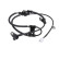 Sensor, wheel speed SS20509 Delphi