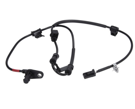 Sensor, wheel speed SS20524 Delphi