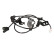 Sensor, wheel speed SS20613 Delphi