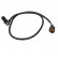 Sensor, wheel speed SS20619 Delphi