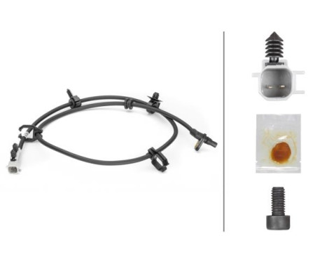 Sensor, wheel speed