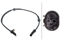 Sensor, wheel speed