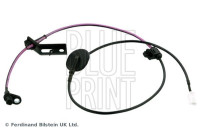 Wheel speed sensor ADM57125 Blue Print