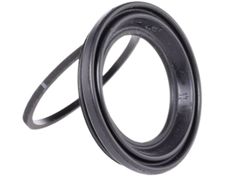 Gasket Set, brake caliper