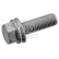 screw for brake anchor plate 182563 FEBI