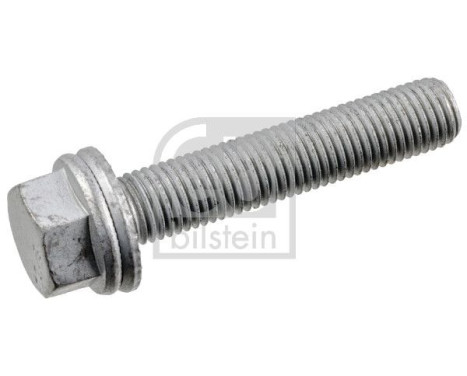screw for caliper 181816 FEBI
