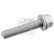screw for caliper 181816 FEBI, Thumbnail 2