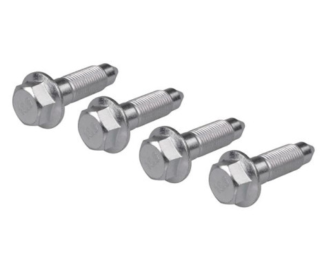 Screw, suspension