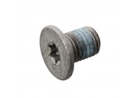 Bolt, brake disc