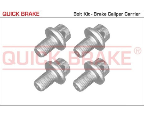 Screw, brake caliper
