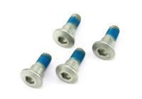 Screw set, brake disc