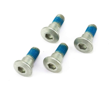 Screw set, brake disc