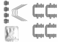 Accessory kit, disc brake pad