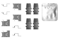 Accessory kit, disc brake pad