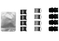 Accessory set, disc brake pad